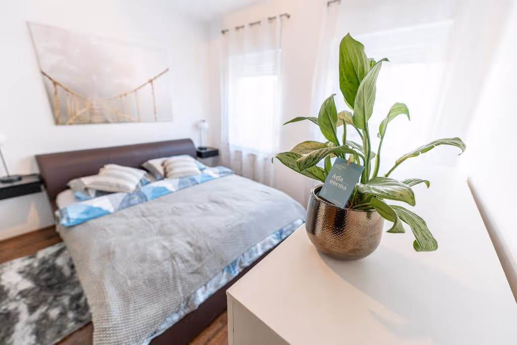 Bright bedroom with a double bed covered in gray and blue bedding, bedside tables with lamps, sheer curtains.